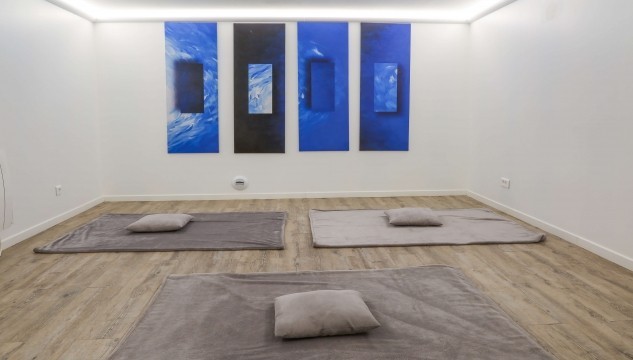 Belle salle de Yoga/consultation rue Blomet,PARIS15ème Salle 4
